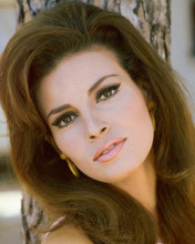 RAQUEL WELCH PRINTS AND POSTERS 216690