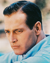 PAUL NEWMAN PRINTS AND POSTERS 21660