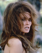 RAQUEL WELCH WILD HAIR SEXY! PRINTS AND POSTERS 216300