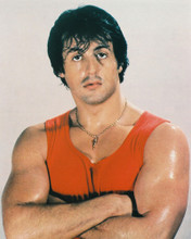 SYLVESTER STALLONE PRINTS AND POSTERS 216286