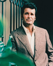 THE ROCKFORD FILES JAMES GARNER PRINTS AND POSTERS 215590
