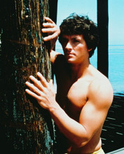 PATRICK DUFFY BARECHESTED THE MAN FROM ATLANTIS PRINTS AND POSTERS 215285