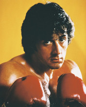 SYLVESTER STALLONE PRINTS AND POSTERS 215121