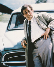 PETER FALK PRINTS AND POSTERS 215005