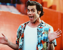 JIM CARREY ACE VENTRA PRINTS AND POSTERS 214678