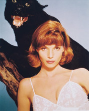 ELSA MARTINELLI PRINTS AND POSTERS 214493