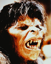 AMERICAN WEREWOLF IN LONDON PRINTS AND POSTERS 214363