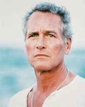 PAUL NEWMAN PRINTS AND POSTERS 214128