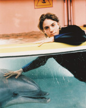JONATHAN BRANDIS DOLPHIN SEAQUEST PRINTS AND POSTERS 213550