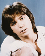 DAVID CASSIDY PRINTS AND POSTERS 212994