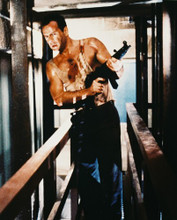BRUCE WILLIS DIE HARD HUNKY BARECHESTED PRINTS AND POSTERS 212850