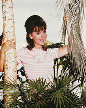 GILLIGAN'S ISLAND DAWN WELLS PRINTS AND POSTERS 212750