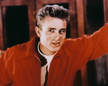 REBEL WITHOUT A CAUSE JAMES DEAN RED JACKE PRINTS AND POSTERS 212724