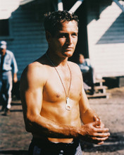 PAUL NEWMAN COOL HAND LUKE BARECHESTED PRINTS AND POSTERS 212513
