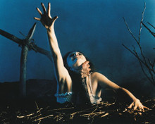 THE EVIL DEAD PRINTS AND POSTERS 212450