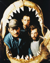 JAWS PRINTS AND POSTERS 212095