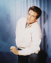 WARREN BEATTY PRINTS AND POSTERS 212027