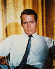 PAUL NEWMAN PRINTS AND POSTERS 211121