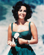 ELIZABETH TAYLOR PRINTS AND POSTERS 210328