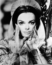 BARBARA STEELE PRINTS AND POSTERS 198582