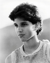 RALPH MACCHIO PRINTS AND POSTERS 197557