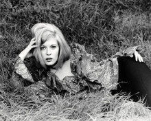 FAYE DUNAWAY BONNIE AND CLYDE VAMPISH POSE IN GRASS PRINTS AND POSTERS 197241