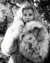 ANN-MARGRET FUR COAT PRINTS AND POSTERS 197201