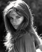JACQUELINE BISSET BEAUTIFUL SULTRY POSE PRINTS AND POSTERS 197083
