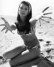 BARBARA LUNA HAWAII FIVE-O PORTRAIT IN BIKINI ON BEACH PRINTS AND POSTERS 197041