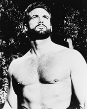 STEVE REEVES PRINTS AND POSTERS 19699