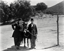 LAUREL AND HARDY WAY OUT WEST ICONIC IMAGE WITH DONKEY PRINTS AND POSTERS 196927