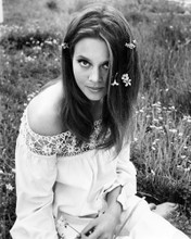 LEIGH TAYLOR-YOUNG PRINTS AND POSTERS 196905