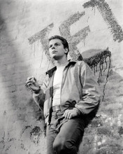 RICHARD BEYMER WEST SIDE STORY PORTRAIT POSE PRINTS AND POSTERS 196873