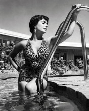 ELIZABETH TAYLOR LEOPARD SKIN SWIMSUIT IN POOL PRINTS AND POSTERS 196824