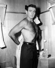 MIKE CONNORS HUNKY BARECHESTED BEEFCAKE POSE PRINTS AND POSTERS 196795