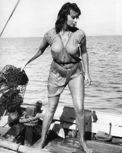 SOPHIA LOREN BOY ON A DOLPHIN WET T-SHIRT DRESS LEGGY BAREFOOT ICON PRINTS AND POSTERS 196675