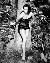 AVA GARDNER THE LITTLE HUT SEXY BAREFOOT POSE BY TREE PRINTS AND POSTERS 196659