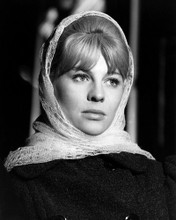 JULIE CHRISTIE DOCTOR ZHIVAGO IN HEAD SCARF PRINTS AND POSTERS 196628