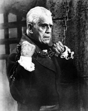 BORIS KARLOFF THE TERROR HOLDING CHAINS IN DUNGEON PRINTS AND POSTERS 196626