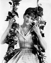 JULIE ANDREWS SITTING ON SWING PRINTS AND POSTERS 196603