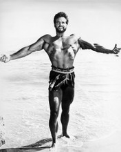 STEVE REEVES HERCULES UNCHAINED BARECHESTED MUSCLE HUNK POSE PRINTS AND POSTERS 196587