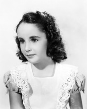 ELIZABETH TAYLOR CUTE CHILD ACTRESS CUTE STUDIO POSE PRINTS AND POSTERS 196551