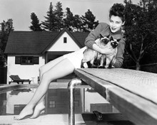AVA GARDNER RARE POSE BAREFOOT LEGGY WITH SIAMESE CATS BY POOL PRINTS AND POSTERS 196487