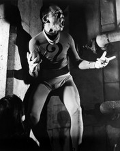 FRANK GORSHIN BATMAN AS THE RIDDLER FULL LENGTH PRINTS AND POSTERS 196403