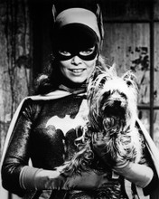 YVONNE CRAIG BATMAN HOLDING DOG PRINTS AND POSTERS 196367