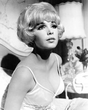 STELLA STEVENS PRINTS AND POSTERS 196153