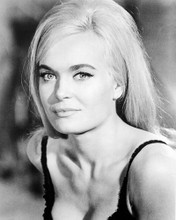 SHIRLEY EATON PRINTS AND POSTERS 195904