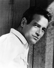 PAUL NEWMAN PRINTS AND POSTERS 195757
