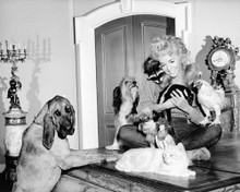 DONNA DOUGLAS PRINTS AND POSTERS 195608