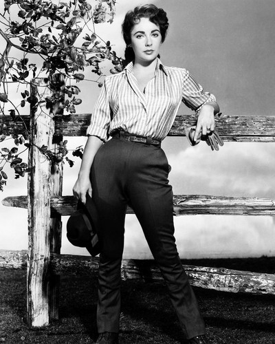 Elizabeth Taylor Giant Posters Photos | Movie Store